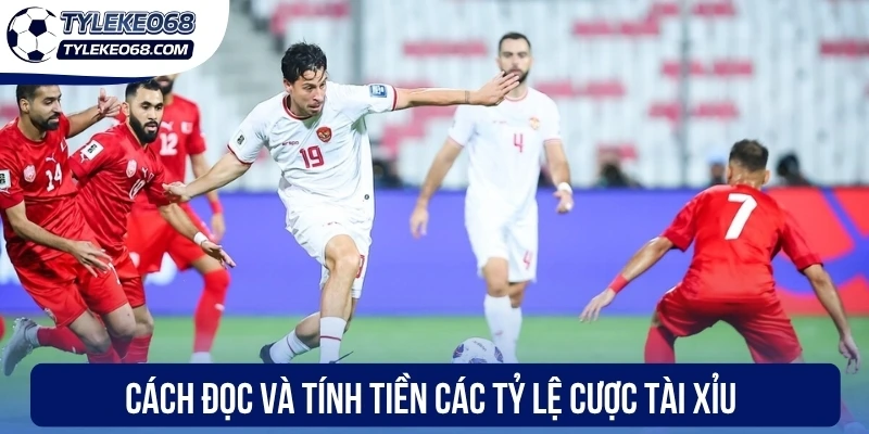 Cách đọc và tính tiền các tỷ lệ cược tài xỉu