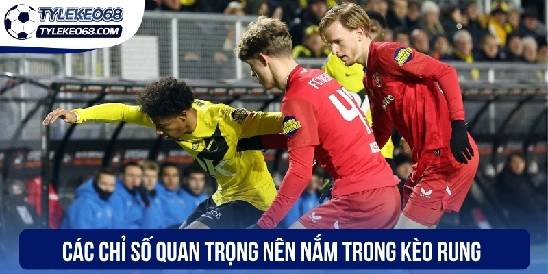 Chuyển đến nội dung chínhChuyển đến thanh công cụ
Giới thiệu về WordPress
Tỷ lệ kèo 68
00 bình luận cần kiểm duyệt
Tạo mới
Rank Math SEO
Xin chào, Anh Tuấn
Tùy chọn màn hìnhHỗ trợ
Thêm Bài Viết
Dismiss this notice

Bỏ qua thông báo này
Thông báo SEO: post đã xuất bản trước đó đã được chuyển vào thùng rác. Bạn có thể chuyển hướng https://www.ivaanapparels.in.net/nha-cai-uy-tin/uk88-2/ đến một URL mới.

Bỏ qua thông báo này
Thêm tiêu đề
Kèo Rung - Cách Nhận Diện Biến Động Tỷ Lệ Tại Nhà Cái
Bỏ qua để biên tập
Đường dẫn tĩnh: https://footballcantera.com/keo-rung/ ‎Chỉnh sửa
 Thêm MediaTrực quanMã
Đoạn 

p » i » span
Số từ: 1115	Bản nháp được lưu lúc 17:29:54.
Di chuyển lênDi chuyển xuốngChuyển đổi bảng điều khiển: Chọn Giải Đấu

-- Chọn giải đấu --
Di chuyển lênDi chuyển xuốngChuyển đổi bảng điều khiển: Xuất bản
Xem trước(mở trong cửa sổ mới)
 Trạng thái: Bản nháp Chỉnh sửaChỉnh sửa trạng thái
 Hiển thị: Công khai Chỉnh sửaChỉnh sửa độ rõ nét
 Xuất bản ngay lập tức Chỉnh sửaChỉnh sửa ngày tháng và thời gian

Lock Modified Date
SEO: 83 / 100
Bỏ vào thùng rác 
Di chuyển lênDi chuyển xuốngChuyển đổi bảng điều khiển: Danh mục
Tất cả danh mục Dùng nhiều nhất
 Cẩm Nang Soi Kèo
 Top Nhà Cái
 Uncategorized
+ Thêm Danh Mục
Di chuyển lênDi chuyển xuốngChuyển đổi bảng điều khiển: Ảnh đại diện
Đặt ảnh đại diện

Di chuyển lênDi chuyển xuốngChuyển đổi bảng điều khiển: Content AI
Di chuyển lênDi chuyển xuốngChuyển đổi bảng điều khiển: Thẻ
Di chuyển lênDi chuyển xuốngChuyển đổi bảng điều khiển: Đề xuất Liên kết
Chúng tôi không thể hiển thị bất kỳ đề xuất liên kết nào cho bài viết này. Hãy thử chọn danh mục và thẻ cho bài viết này và đánh dấu các bài viết khác là nội dung cốt lõi để chúng hiển thị ở đây.
Di chuyển lênDi chuyển xuốngChuyển đổi bảng điều khiển: Rank Math SEO
Tổng quan
Nâng cao
Schema
Mạng xã hội
https://footballcantera.com/keo-rung/
Kèo Rung - Cách Nhận Diện Biến Động Tỷ Lệ Tại Nhà Cái -...
Kèo rung đòi hỏi kỹ năng đọc bảng kèo nhạy bén từ anh em giúp xác định thời điểm vàng vào tiền hợp nhằm tăng tỷ lệ chiến thắng khi cá cược.
Chỉnh sửa đoạn trích
Từ khóa chínhChèn các từ khóa bạn muốn xếp hạng. Cố gắng đạt 100/100 điểm để có cơ hội xếp hạng tốt hơn.

83 / 100
Lưu ý cảnh báo
Đọc ở đây để Đạt điểm 100/100

Bài viết này là nội dung cốt lõi

SEO cơ bản
Tất cả đều tốt
Tuyệt vời! Bạn đang sử dụng từ khoá chính trong Tiêu đề SEO.
Đã sử dụng từ khoá chính trong Mô tả Meta SEO.
Từ khóa chính đã được sử dụng trong URL.
Từ khoá chính xuất hiện trong 10% nội dung đầu tiên.
Đã tìm thấy từ khoá chính trong nội dung.
Nội dung dài 1126 từ. Làm tốt lắm!

Bổ sung
2 Lỗi

Khả năng đọc tiêu đề
Tất cả đều tốt

Khả năng đọc nội dung
1 Lỗi
Di chuyển lênDi chuyển xuốngChuyển đổi bảng điều khiển: Insert Script to <head>
Di chuyển lênDi chuyển xuốngChuyển đổi bảng điều khiển: Nhập video youtube
Link video:

Cảm ơn bạn đã sử dụng Rank MathPhiên bản 6.9.4
Thông báoLink inserted. 
Không tìm thấy kết quả.
Đóng hộp thoại
Thêm tệp media
Hành động
Tải lên tệp mớiChọn từ thư viện Media
Mở rộng chi tiết
Lọc mediaLọc theo loại
Tất cả
Lọc theo ngày
Tất cả các ngày
Tìm tệp media
Danh sách media
Đang hiển thị 84 của 2494 file media

Tải thêm
Chi tiết tệp đính kèm

cac-chi-so-quan-trong-nen-nam-trong-keo-rung.webp
2 Tháng 5, 2026
107 KB
800 dài và rộng 400 pixel
Sửa ảnh
Xóa vĩnh viễn

WP Rocket recommends you to optimize your images for even better website performance.

Install Imagify Plugin
Văn bản thay thế
Tạo văn bản thay thế
Xem cách mô tả nội dung ảnh(mở trong cửa sổ mới). Để trống nếu ảnh chỉ dùng làm hiệu ứng trang trí.Tiêu đề
cac-chi-so-quan-trong-nen-nam-trong-keo-rung
Chú thích
Mô tả
Liên kết của tệp tin:
https://footballcantera.com/wp-content/uploads/2026/05/cac-chi-so-quan-trong-nen-nam-trong-keo-rung.webp
Sao chép liên kết
Các trường bắt buộc được đánh dấu *

 Loại trừ tệp đính kèm này khỏi sơ đồ trang web
Tùy chọn hiển thị nội dung đính kèm
Căn chỉnh
Chính giữa
Liên kết tới
Không có
Kích thước
Kích thước đầy đủ – 800 × 400
Hành động cho các media đã được chọn
đã chọn 1 item
Xóa 
Chèn vào bài viết
Không có tệp nào được chọn