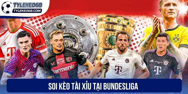 Soi kèo Tài xỉu tại Bundesliga