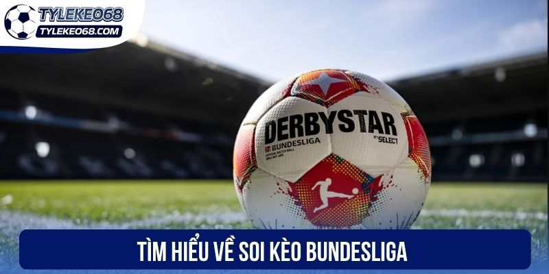 Tìm hiểu về soi kèo Bundesliga