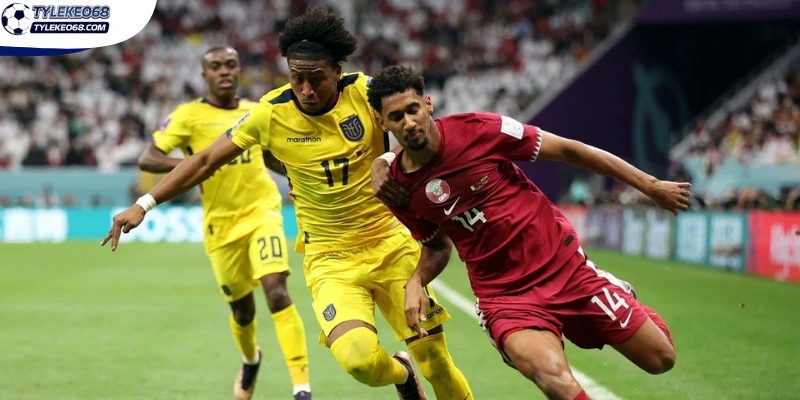 Dự đoán bảng kèo trận Bosnia and Herzegovina vs Qatar